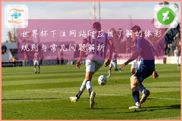 世界杯下注网站时应该了解的体彩规则与常见问题解析
