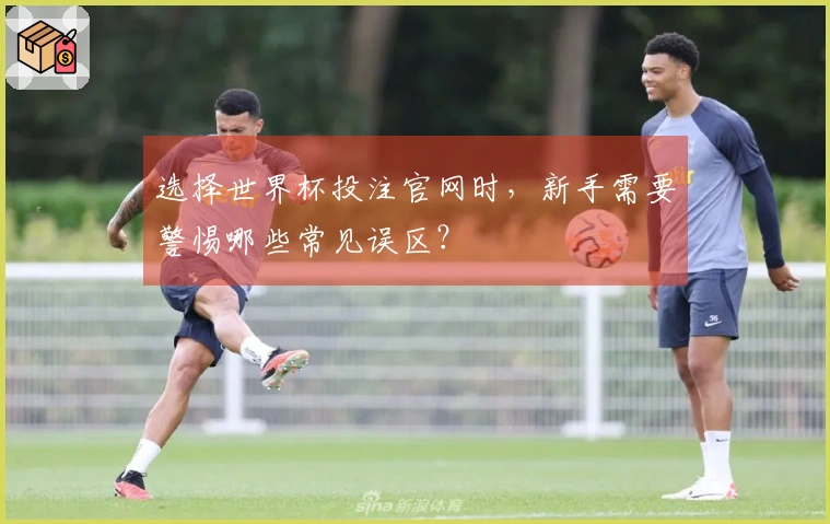 选择世界杯投注官网时，新手需要警惕哪些常见误区？