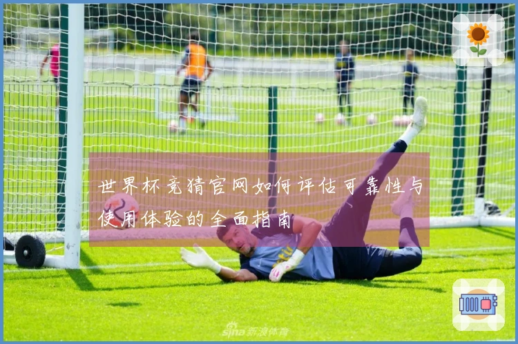 世界杯竞猜官网如何评估可靠性与使用体验的全面指南
