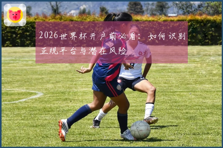 2026世界杯开户前必看：如何识别正规平台与潜在风险