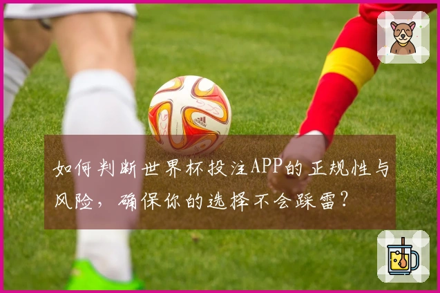 如何判断世界杯投注APP的正规性与风险，确保你的选择不会踩雷？
