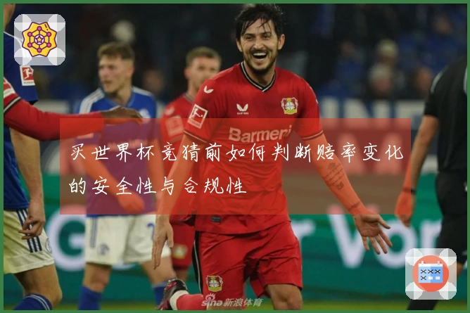 买世界杯竞猜前如何判断赔率变化的安全性与合规性