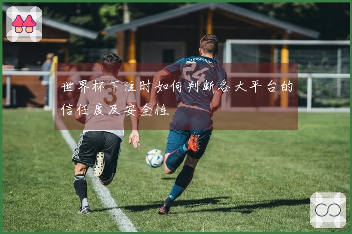 世界杯下注时如何判断各大平台的信任度及安全性