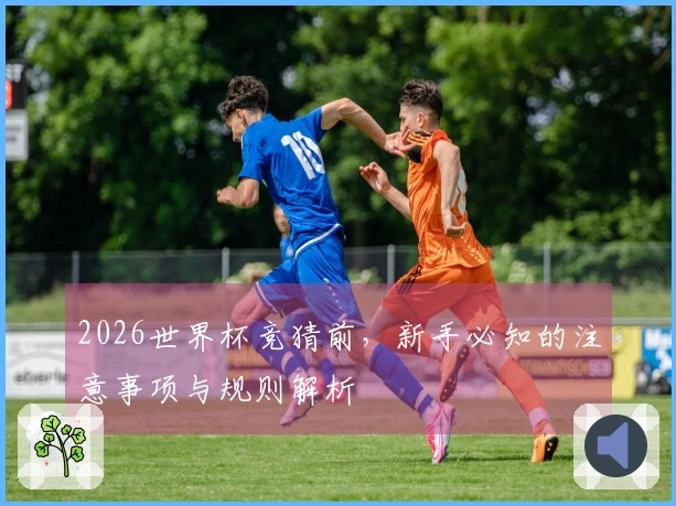 2026世界杯竞猜前，新手必知的注意事项与规则解析