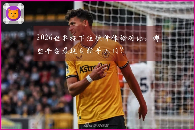2026世界杯下注软件体验对比，哪些平台最适合新手入门？