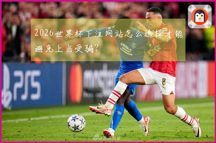 2026世界杯下注网站怎么选择才能避免上当受骗？
